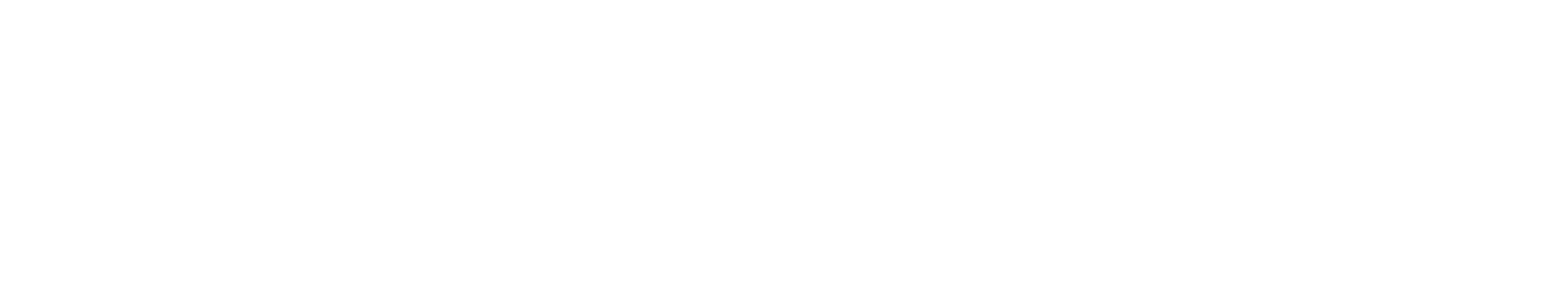 ReliefGeek
